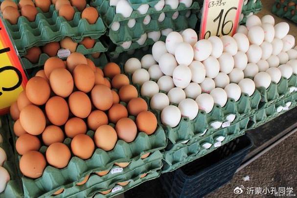 今天鸡蛋一斤多少钱济南